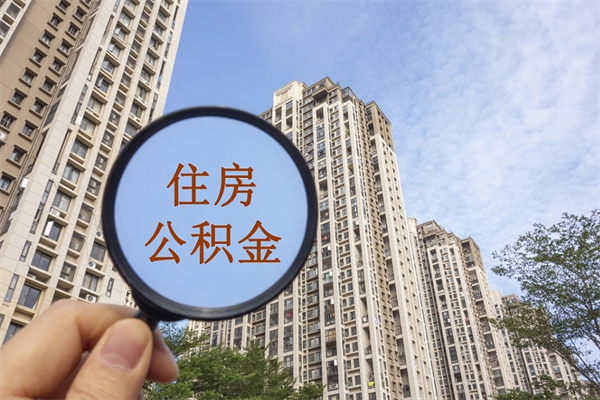南城威海公积金提取代办（南城威海公积金提取代办公司）
